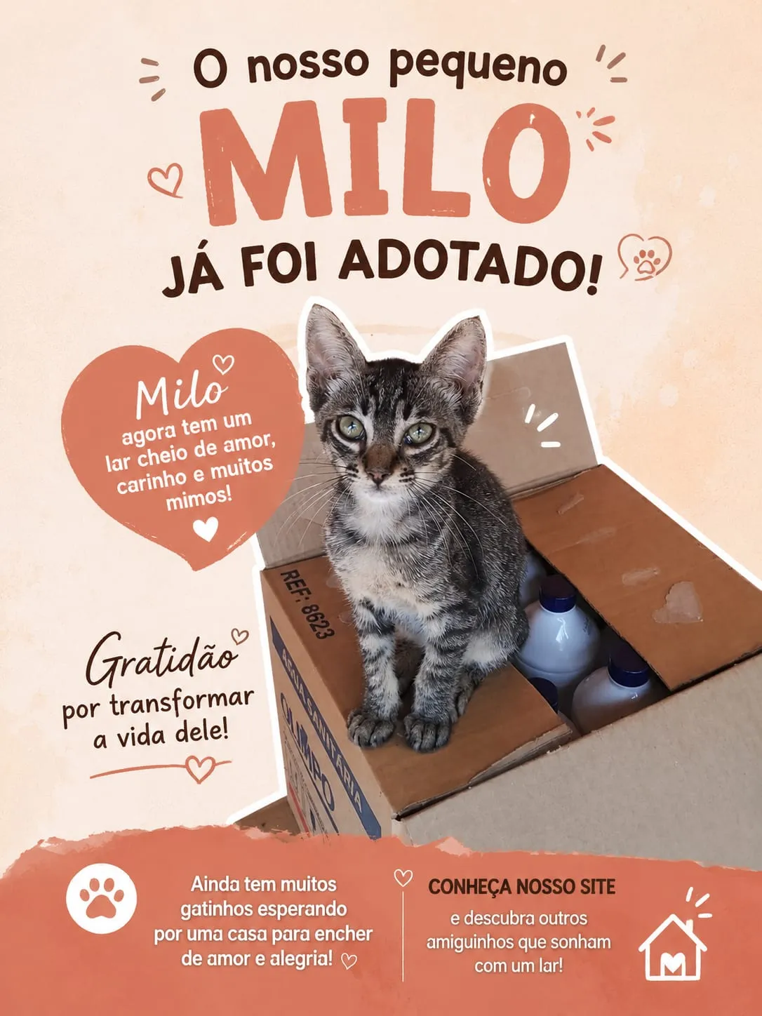 Milo, macho, filhote